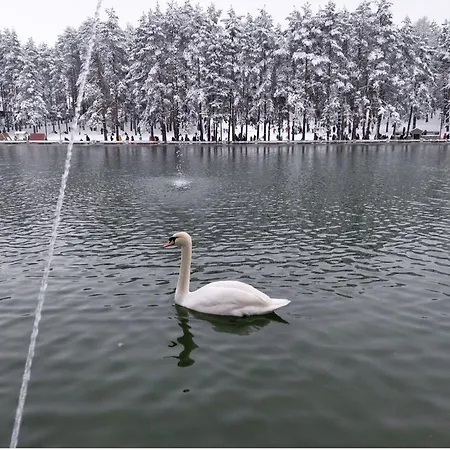 Suncani Bregovi Apartamento
