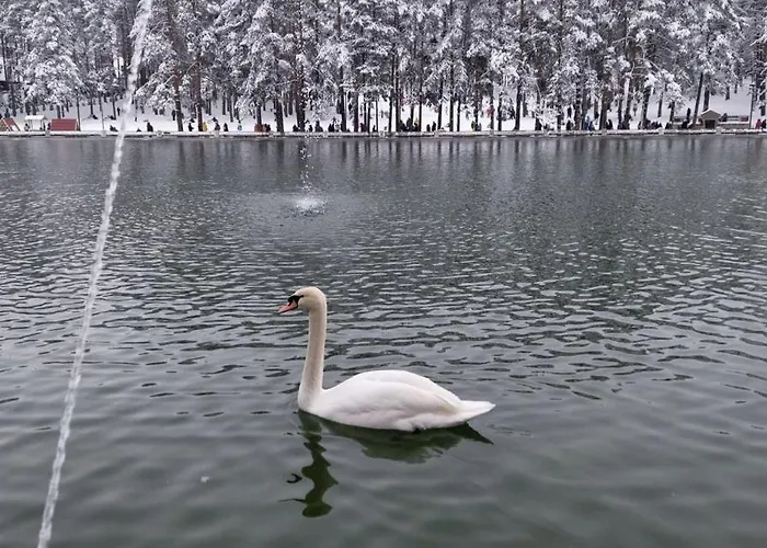 Suncani Bregovi Lejlighed