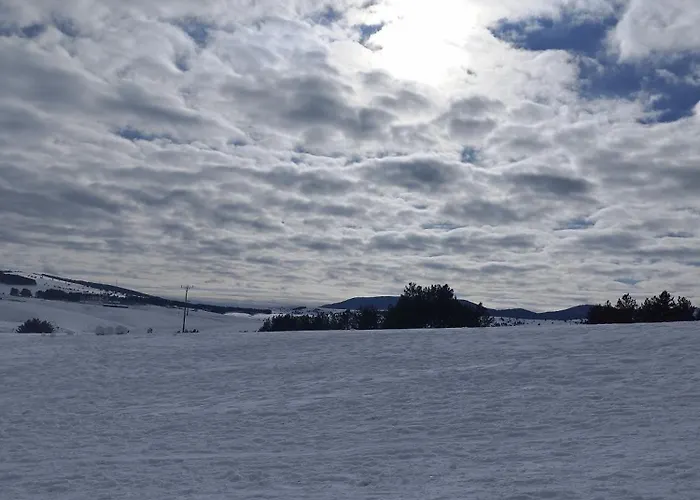 Suncani Bregovi Lejlighed *