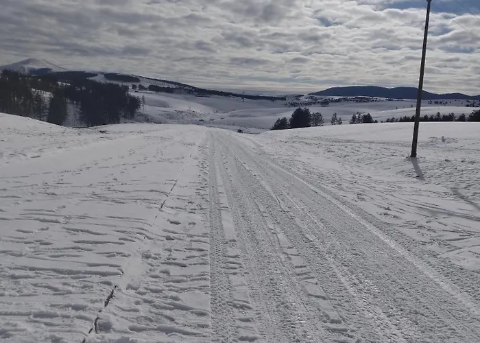 Suncani Bregovi * Zlatibor